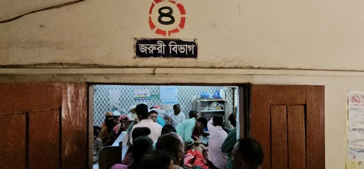 পাথরঘাটায় বেওয়ারিশ কুকুরের কামড়ে আহত অন্তত ২৫